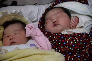 各国产妇生宝宝视频,各国宝宝诞生瞬间大揭秘