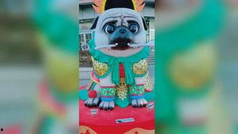 小青蛙国产小视频,国产短视频中的童年记忆