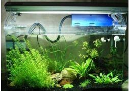 国产水草灯推介视频,打造水族箱生态之美，点亮绿色生活新风尚