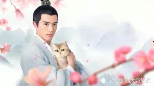 人人视频国产剧推荐,人人视频热门推荐盘点